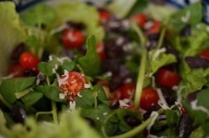 salada de folhas com cranberry